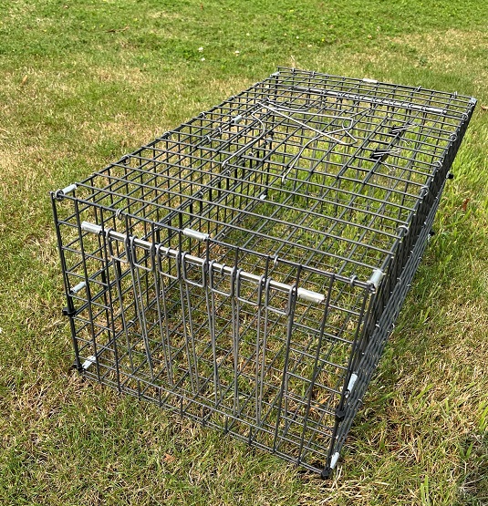 PIGEON IN AND OUT TRAP , COMES IN TWO SIZES - Mike's Falconry Supplies